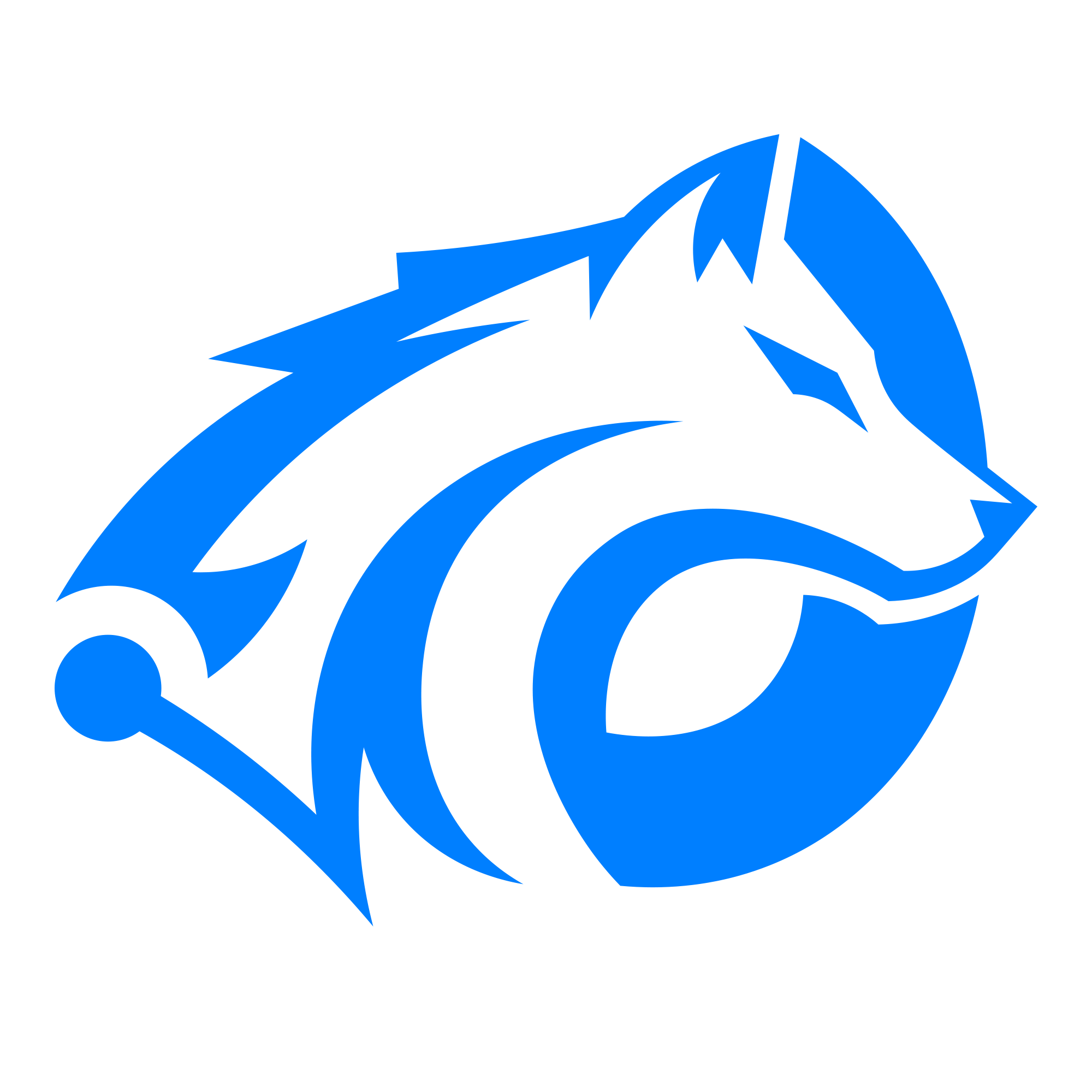 Fenrir Technologies LLC
